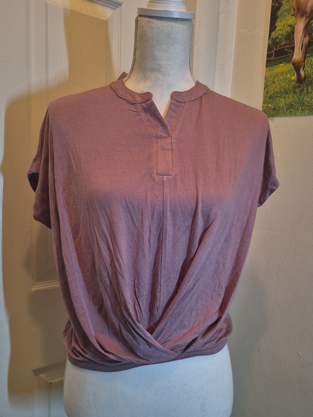 Nordstrom Mauve Short-Sleeve Twist-Hem Henley